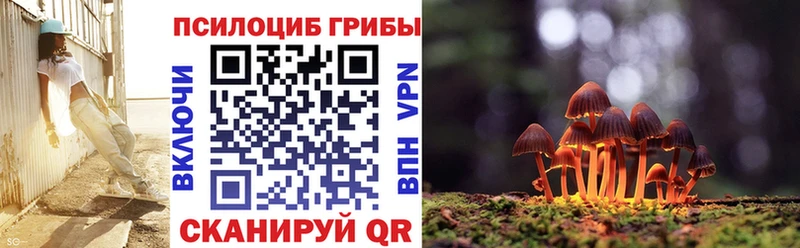 Галлюциногенные грибы Cubensis  Купить закладки  Пойковский 